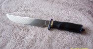 Scotia-Bowie2.jpg