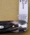 IMGP0737.JPG