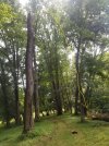 20260615_153841.jpg 20260615_153841.jpg