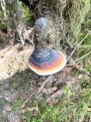 IMG_8255.jpeg