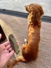 IMG_0528.jpeg