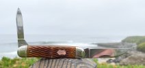 IMG_2026-06-16-084412.jpeg