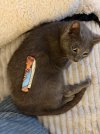 IMG_7609.jpeg