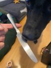 IMG_2425.jpeg