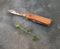 walnut10 13.jpg