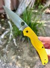IMG_0600.jpeg