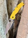 IMG_0608.jpeg