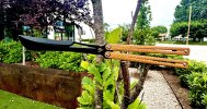 IMG_2360.jpeg