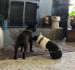 IMG_0579.jpeg