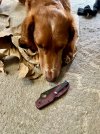 IMG_0617.jpeg