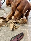 IMG_0621.jpeg