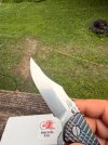 IMG_0228.jpeg