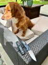 IMG_0663.jpeg