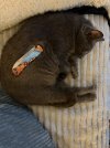 IMG_7612.jpeg