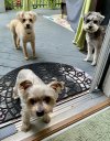 IMG_7626.jpeg