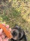 IMG_3720.jpeg