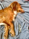 IMG_0737.jpeg