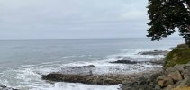 IMG_2026-06-22-085850.jpeg