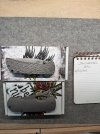 IMG_3117.jpeg