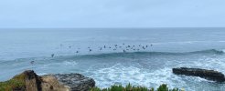 IMG_2026-06-23-093619.jpeg