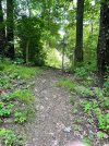 IMG_2054.jpeg