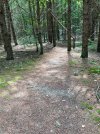 IMG_2051.jpeg