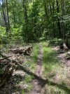 IMG_2047.jpeg