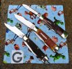 2026-06-23 Gunstocks Queen40 GEC44 CASE62130.JPG