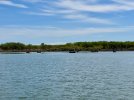 IMG_8067.jpeg