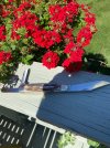 IMG_6076.jpeg