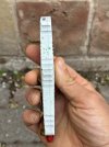 IMG_2613.jpeg