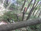 IMG_2441.jpeg