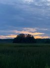 IMG_1716.jpeg