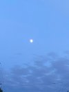 IMG_1717.jpeg