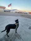 IMG_2499.jpeg