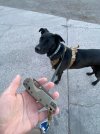 IMG_2501.jpeg
