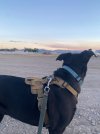 IMG_2502.jpeg