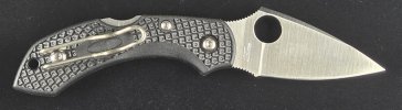 Dragonfly 2 C28PBK2 (2).jpg Dragonfly 2 C28PBK2 (2).jpg
