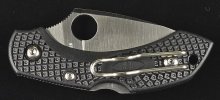 Dragonfly 2 C28PBK2 (4).jpg Dragonfly 2 C28PBK2 (4).jpg