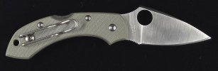 Dragonfly G10 C28GPFG (1).jpg Dragonfly G10 C28GPFG (1).jpg