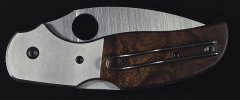 Sage 4 Ironwood C123WDP (3).jpg Sage 4 Ironwood C123WDP (3).jpg
