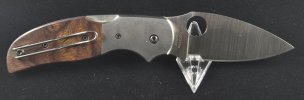 Sage 4 Ironwood C123WDP (6).jpg Sage 4 Ironwood C123WDP (6).jpg