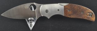 Sage 4 Ironwood C123WDP (7).jpg Sage 4 Ironwood C123WDP (7).jpg