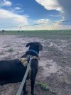 IMG_2512.jpeg