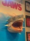 IMG_6225.jpeg