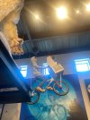 IMG_6224.jpeg
