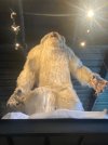 IMG_6228.jpeg