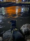 IMG_2520.jpeg