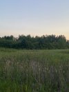 IMG_1782.jpeg