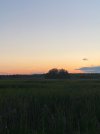 IMG_1780.jpeg